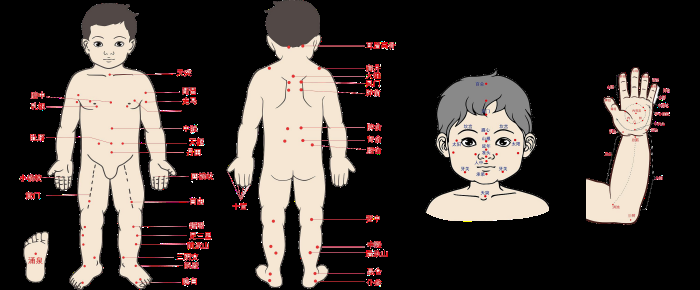 古代中医人体穴位图全身经络图解身体足底穴位图PNG免扣素材19