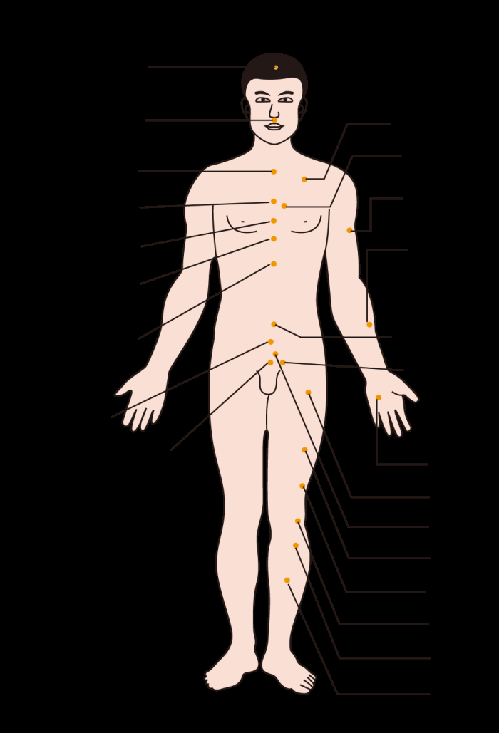 古代中医人体穴位图全身经络图解身体足底穴位图PNG免扣素材7