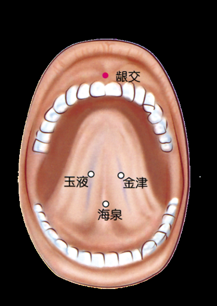 古代中医人体穴位图全身经络图解身体足底穴位图PNG免扣素材27