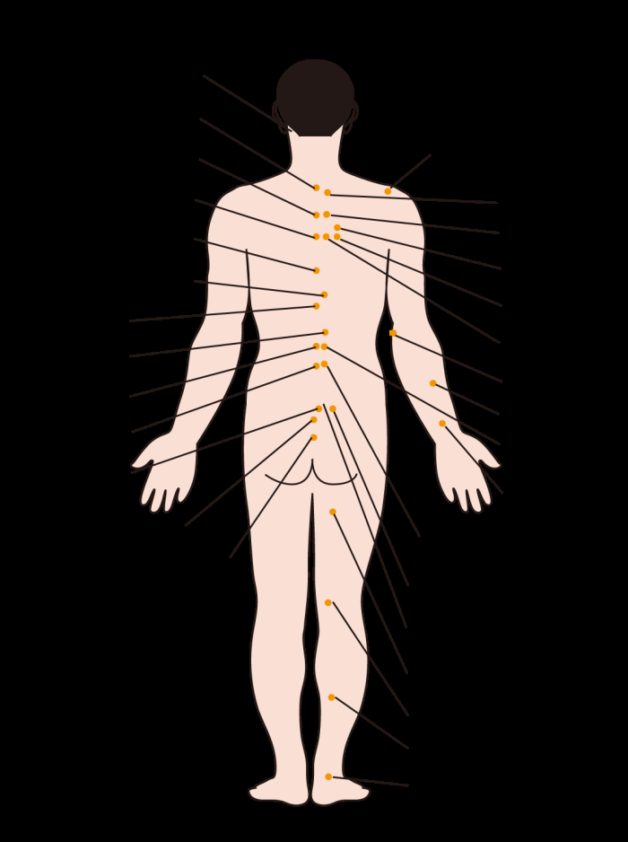 古代中医人体穴位图全身经络图解身体足底穴位图PNG免扣素材9