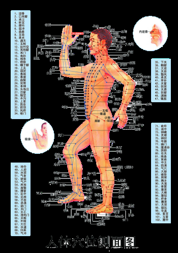 古代中医人体穴位图全身经络图解身体足底穴位图PNG免扣素材3