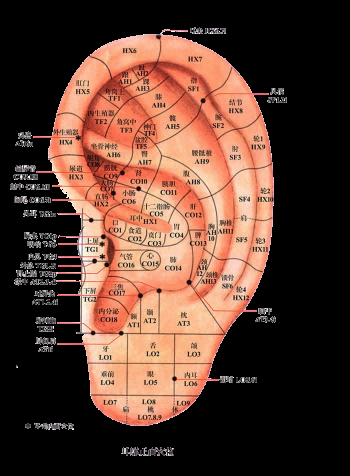 古代中医人体穴位图全身经络图解身体足底穴位图PNG免扣素材25