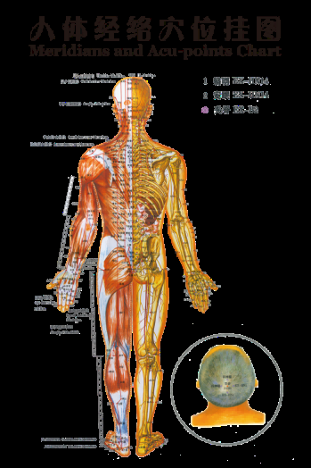 古代中医人体穴位图全身经络图解身体足底穴位图PNG免扣素材2