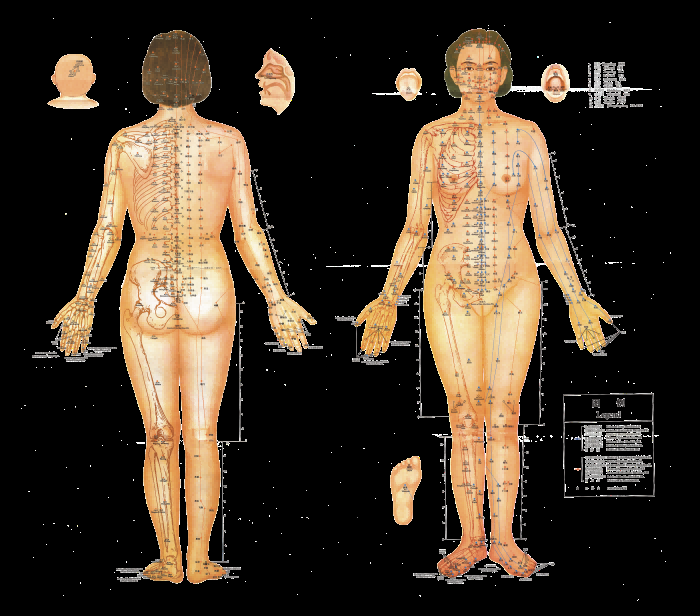 古代中医人体穴位图全身经络图解身体足底穴位图PNG免扣素材6