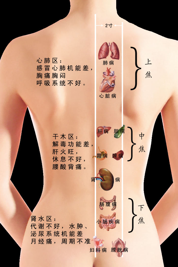 古代中医人体穴位图全身经络图解身体足底穴位图PNG免扣素材15