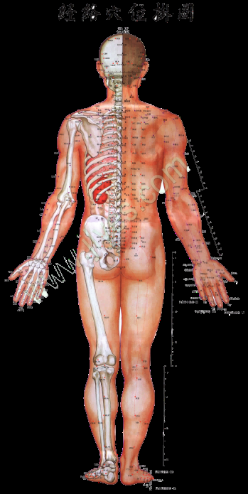 古代中医人体穴位图全身经络图解身体足底穴位图PNG免扣素材11