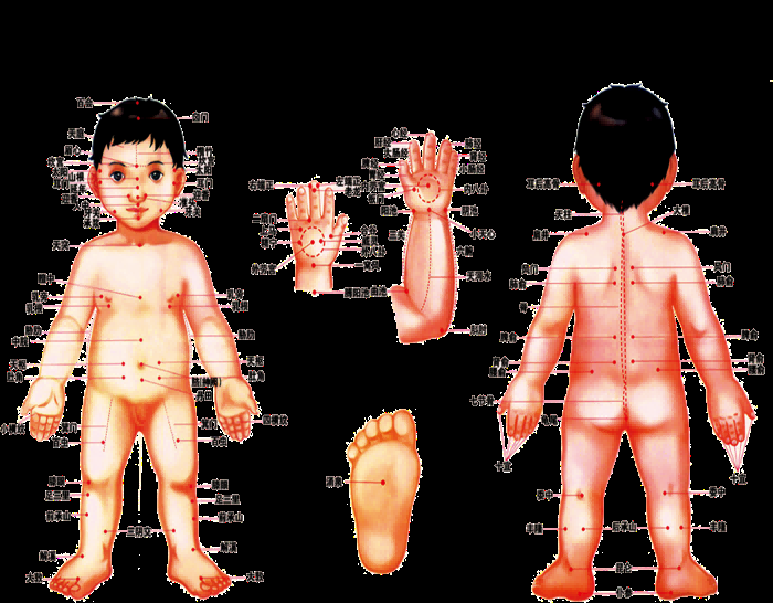 古代中医人体穴位图全身经络图解身体足底穴位图PNG免扣素材28