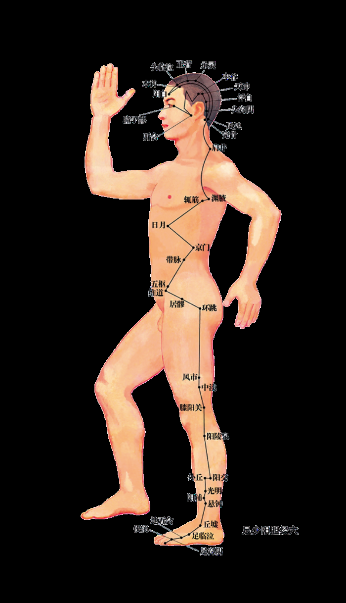 古代中医人体穴位图全身经络图解身体足底穴位图PNG免扣素材13