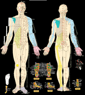 古代中医人体穴位图全身经络图解身体足底穴位图PNG免扣素材4