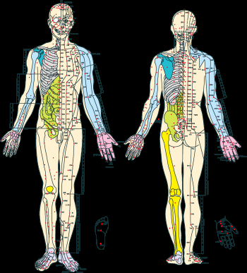 古代中医人体穴位图全身经络图解身体足底穴位图PNG免扣素材14