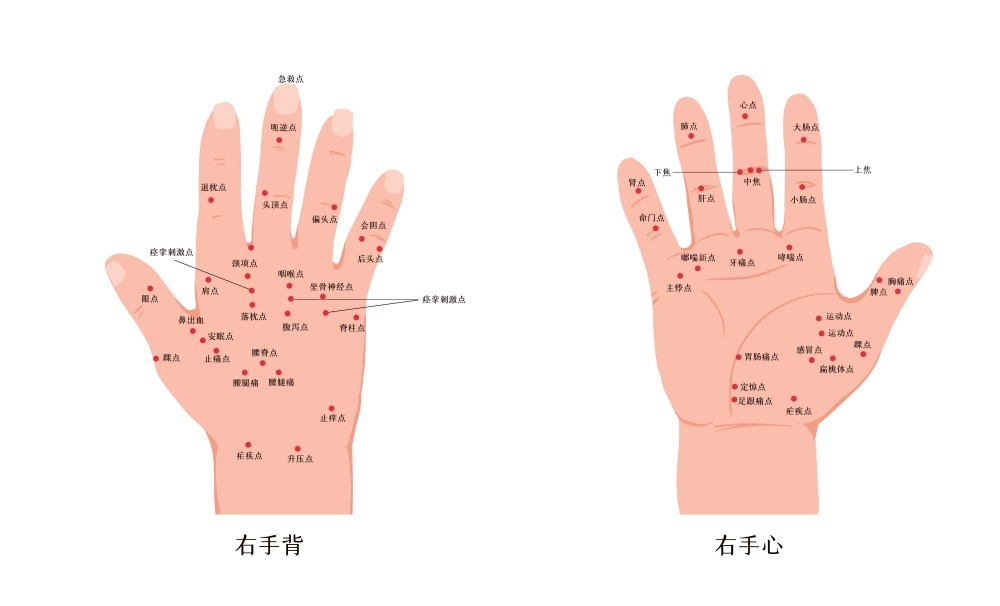 人体穴位针灸按摩示意图(10)