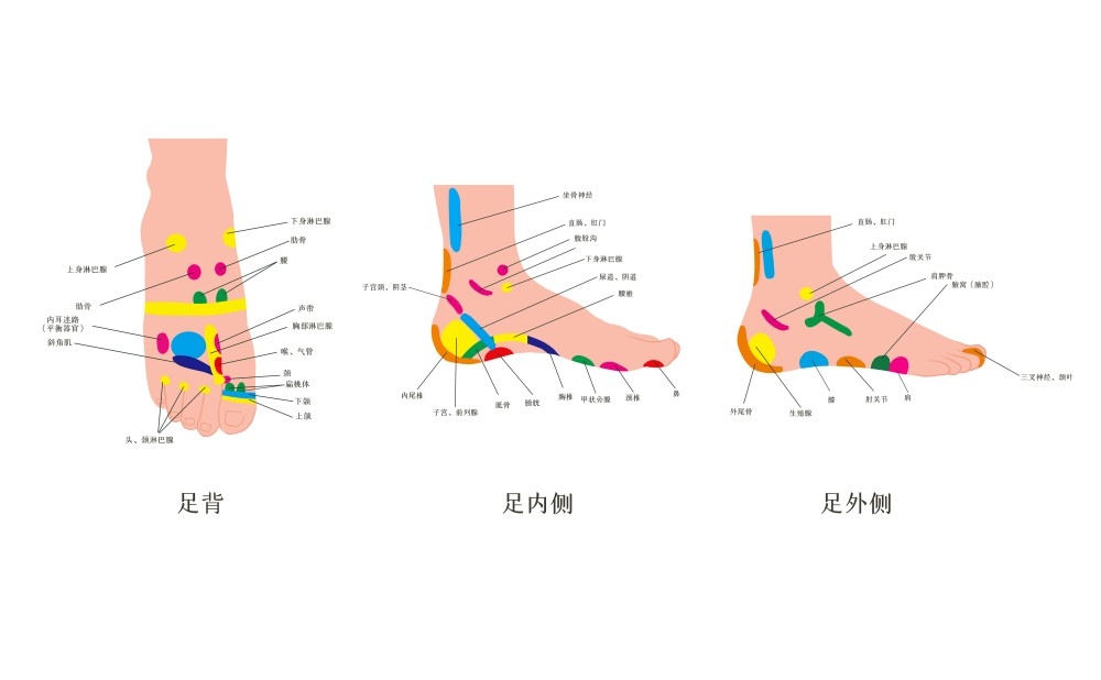 人体穴位针灸按摩示意图 (3)