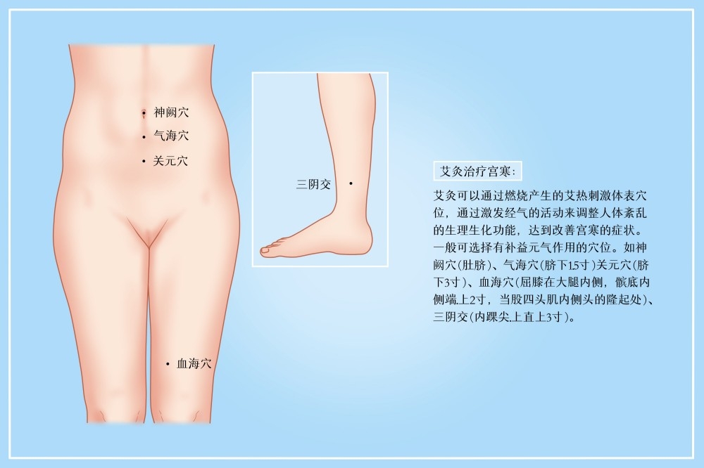 人体穴位针灸按摩示意图gh