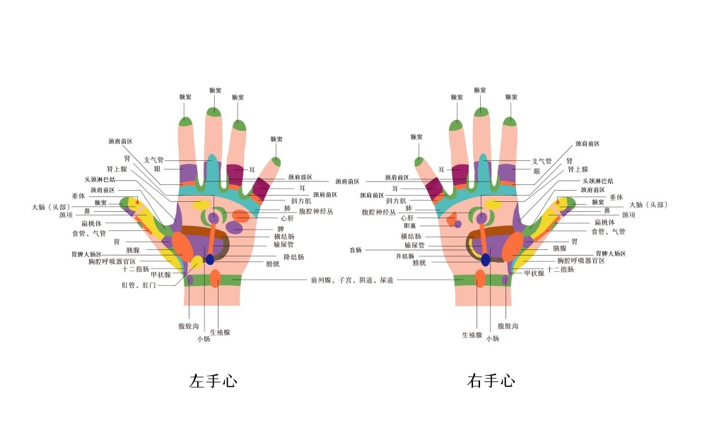 人体穴位针灸按摩示意图(5)