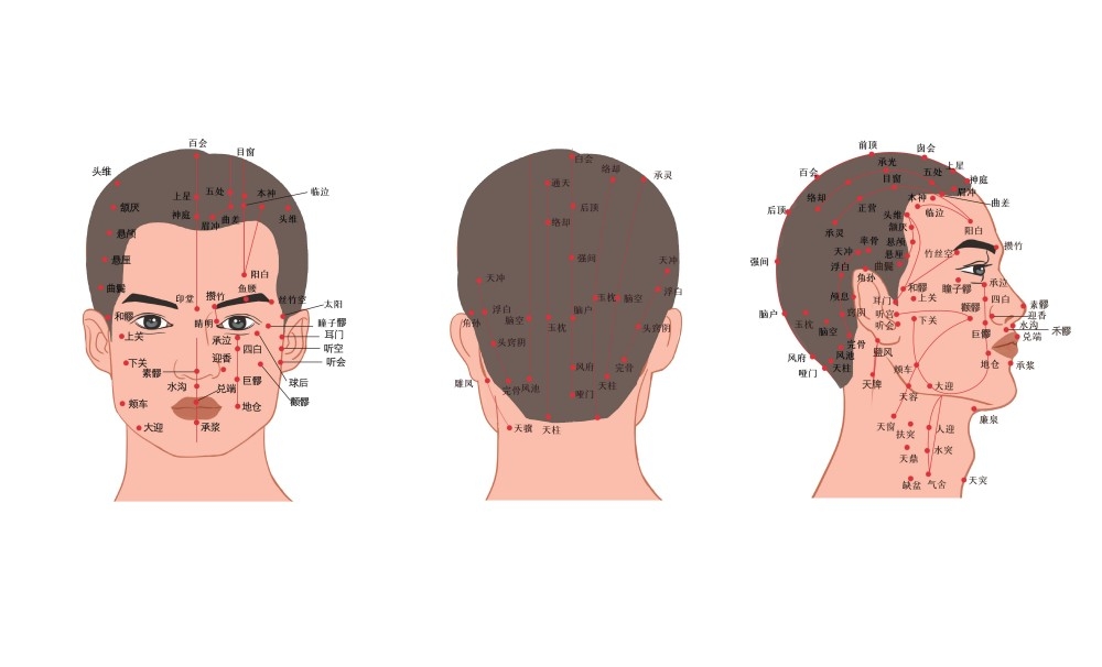 人体穴位针灸按摩示意图(9)
