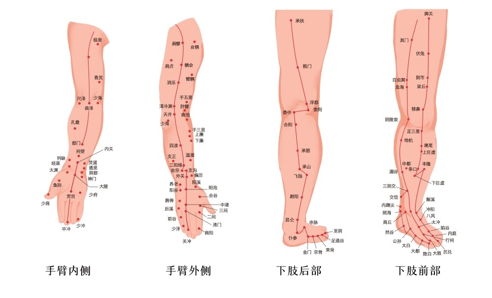 人体穴位针灸按摩示意图(11)