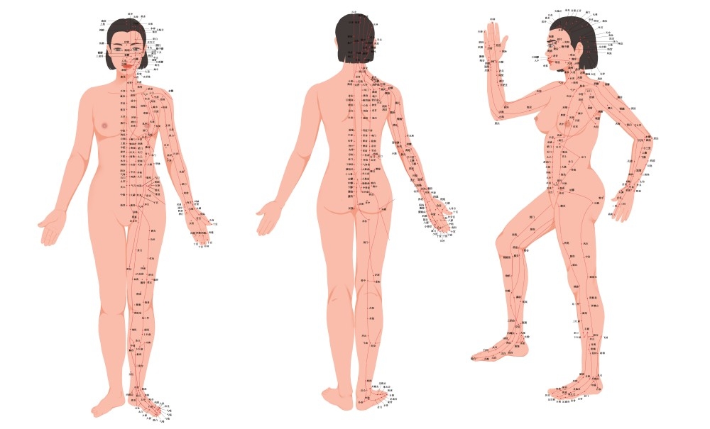 人体穴位针灸按摩示意图(13)