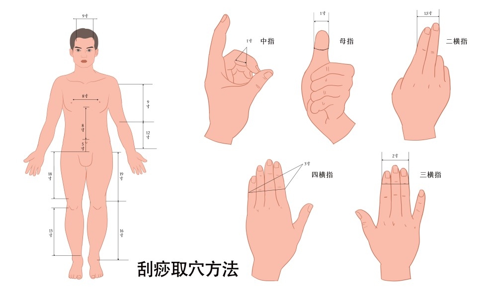 人体穴位针灸按摩示意图刮痧取穴方法