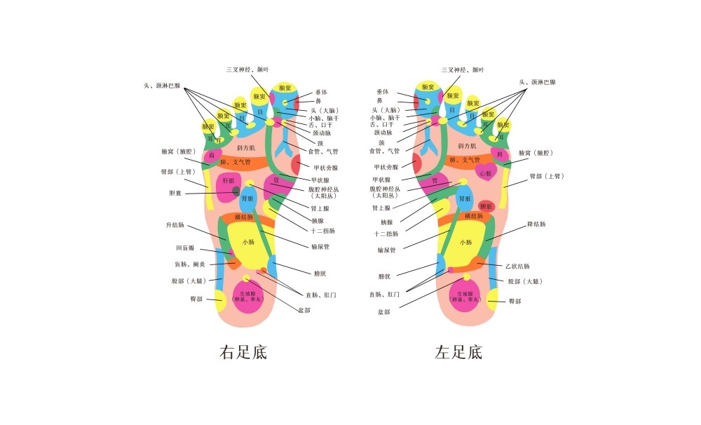 人体穴位针灸按摩示意图(3)