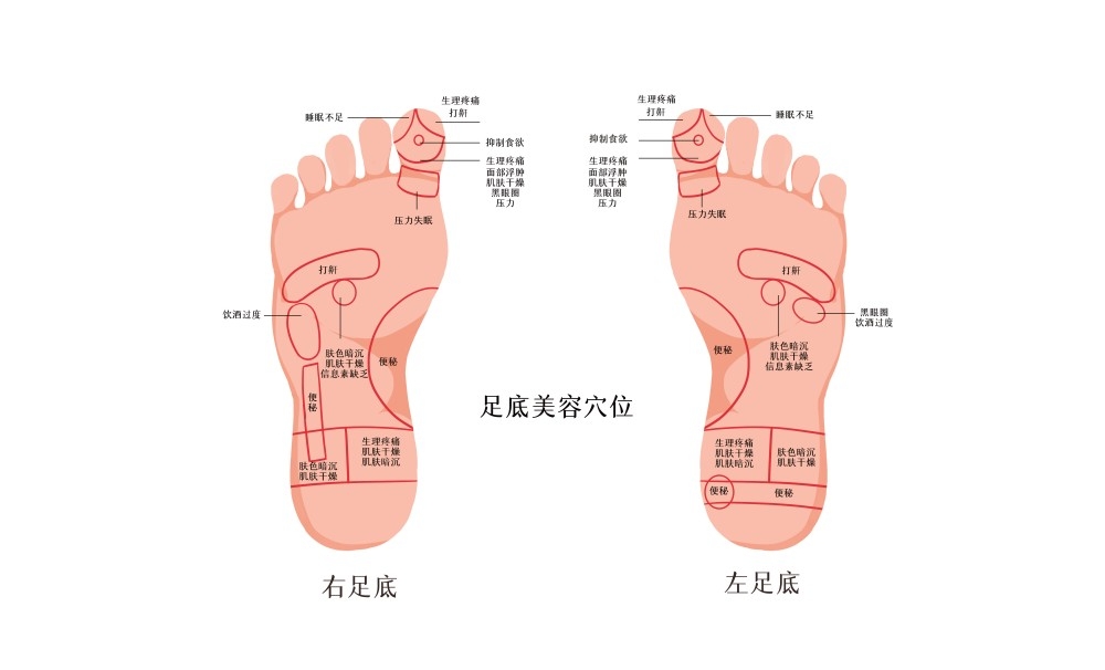 人体穴位针灸按摩示意图足底美容穴位图