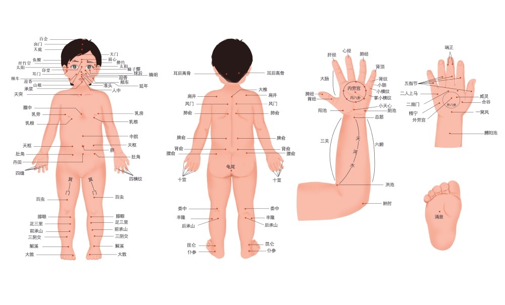 人体穴位针灸按摩示意图(6)