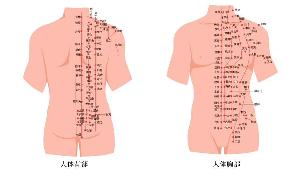 人体穴位针灸按摩示意图(12)