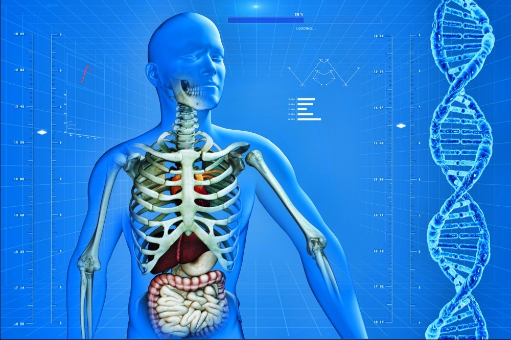 人体模型经脉穴位健身肌肉组织分布骨骼骨架结构血管图9