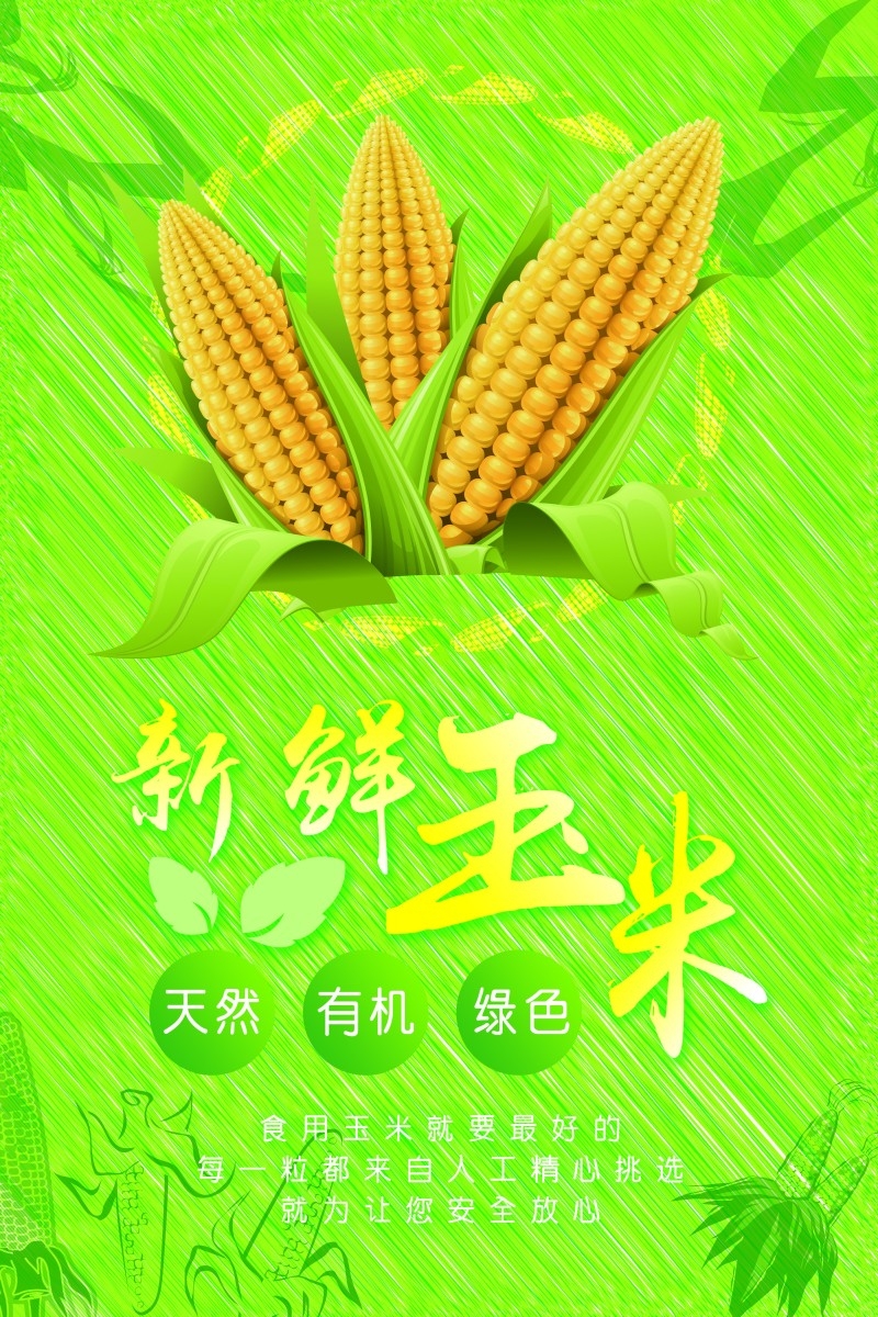 天然有机玉米促销海报