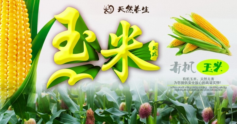 天然养生玉米促销海报