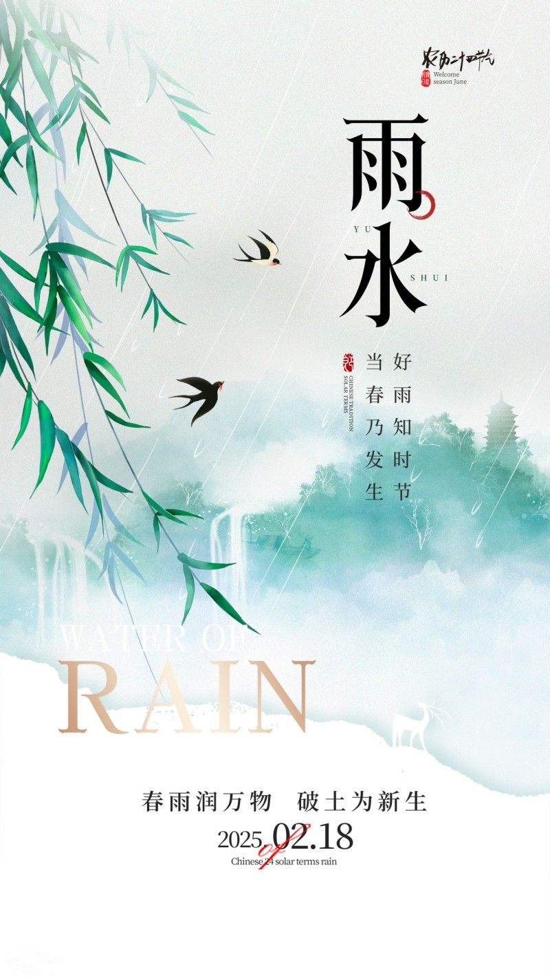 雨水节气海报 (9)