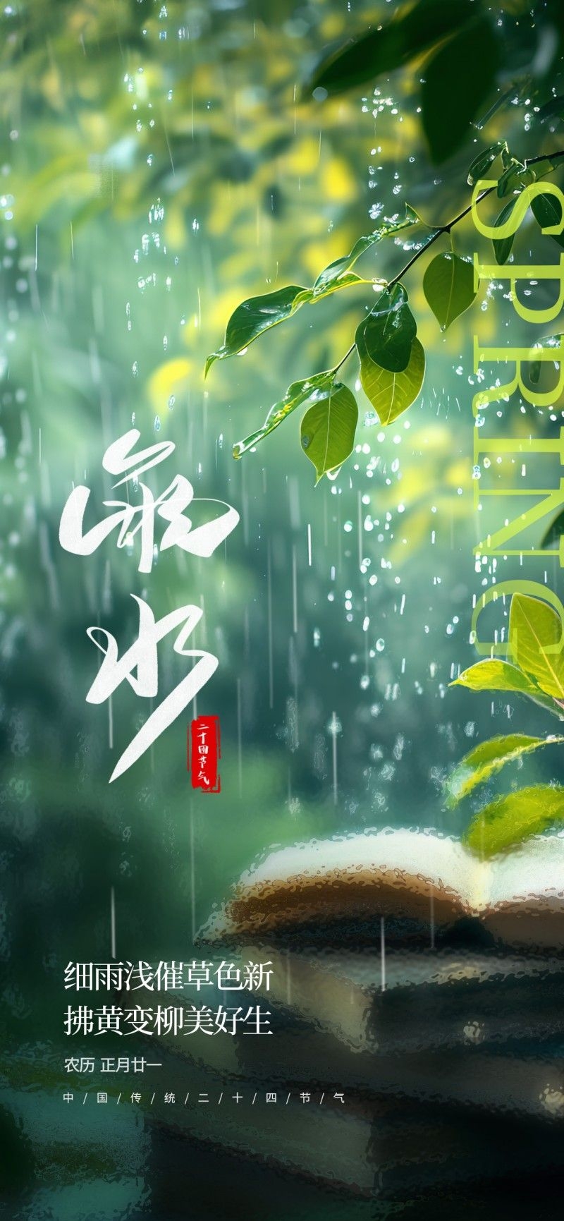 雨水节气海报