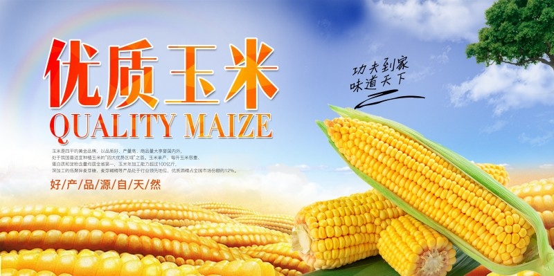 农家优质玉米促销海报