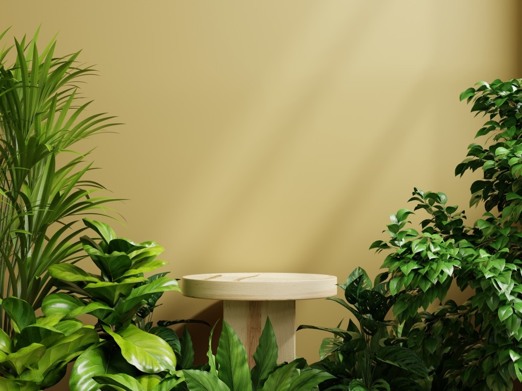 高清植物桌面简约家居场景设计素材 (3)