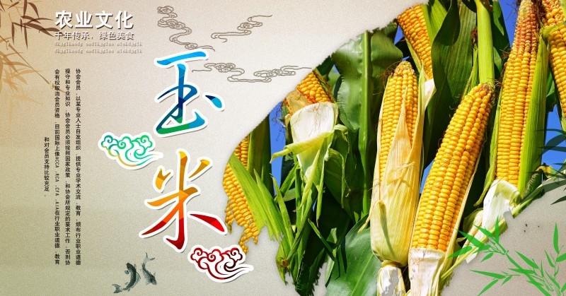 天然农业玉米促销海报