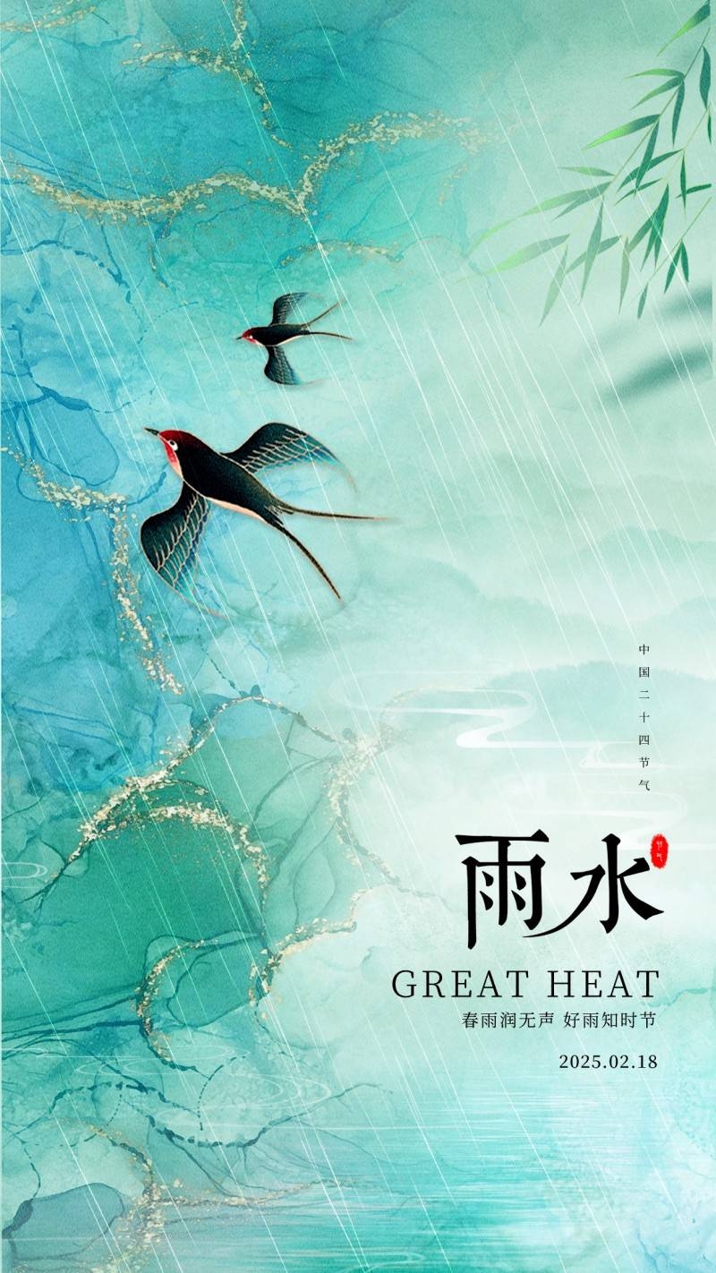 雨水节气海报 (2)