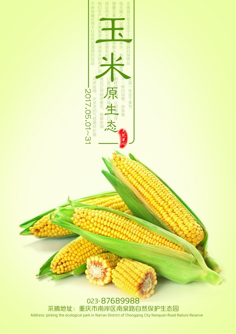 原生态玉米促销海报