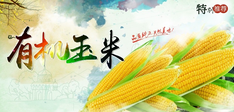 香甜有机玉米促销海报