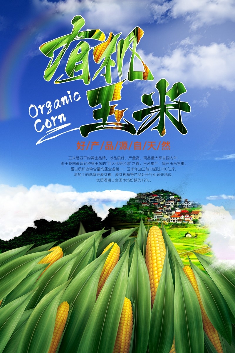 天然玉米促销海报 (2)