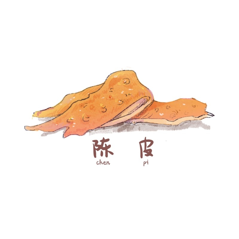 中草药材植物插图 陈皮