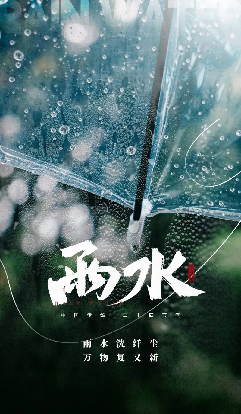 雨水节气海报 (47)