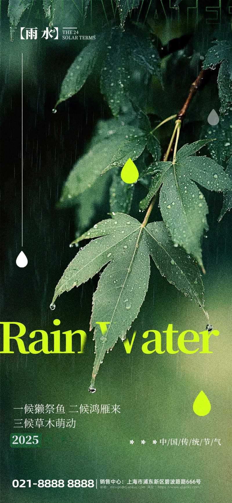 雨水节气海报 (16)