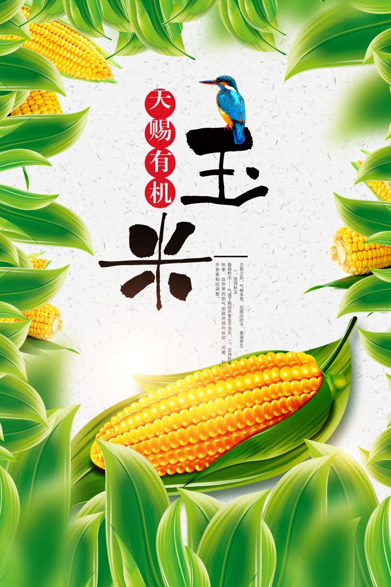天赐有机玉米促销海报