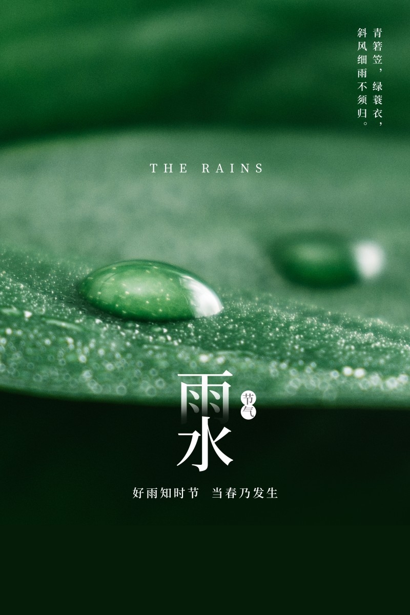 雨水节气海报 (22)