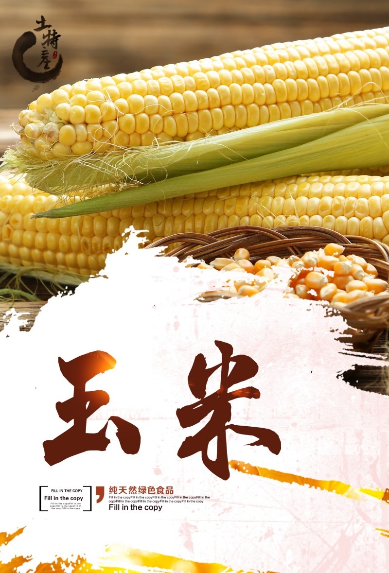 纯天然玉米促销海报