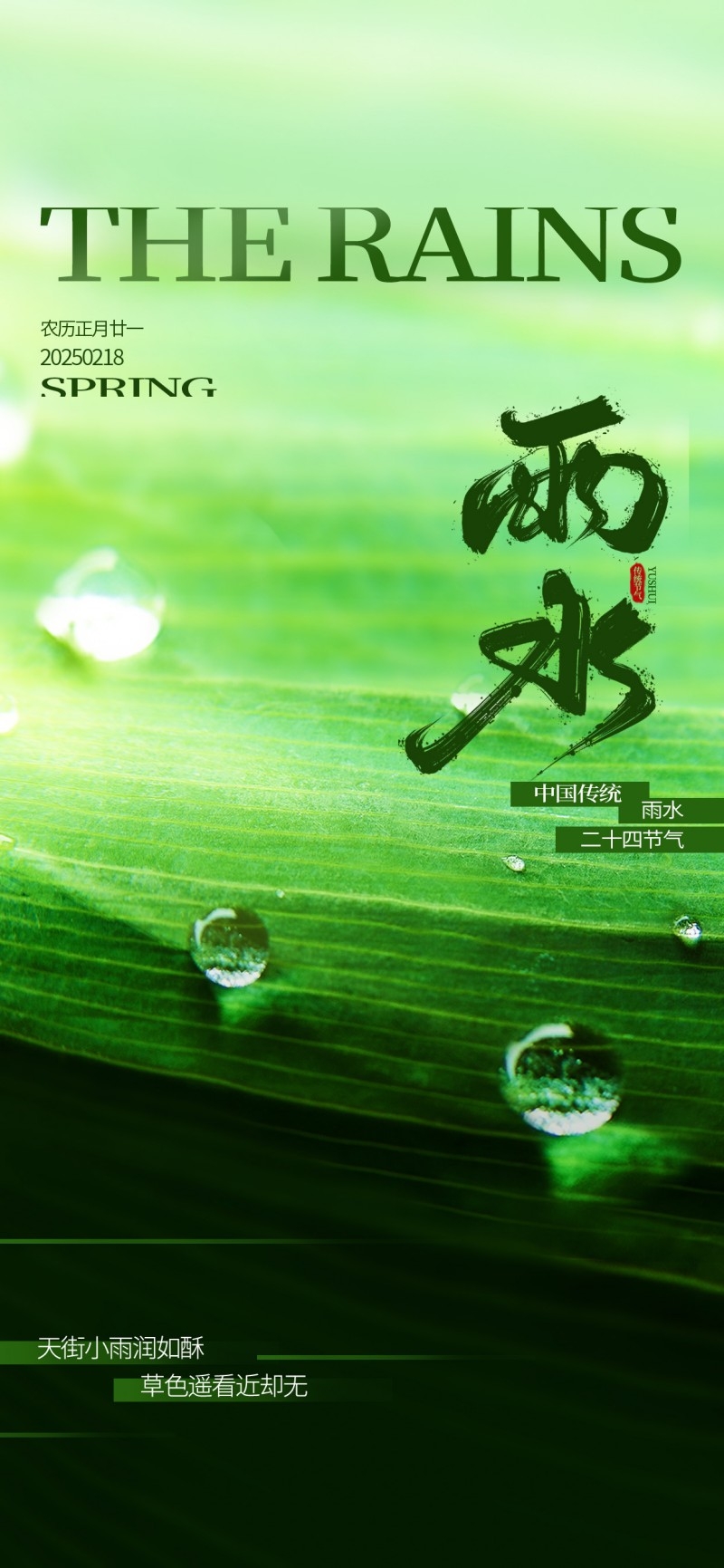 雨水节气海报