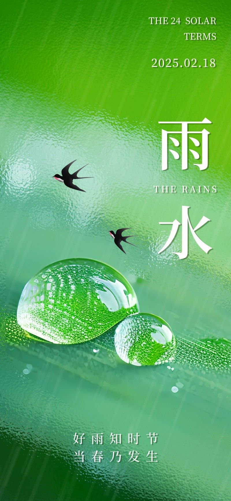 雨水节气海报 (57)