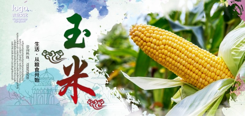 天然玉米促销海报