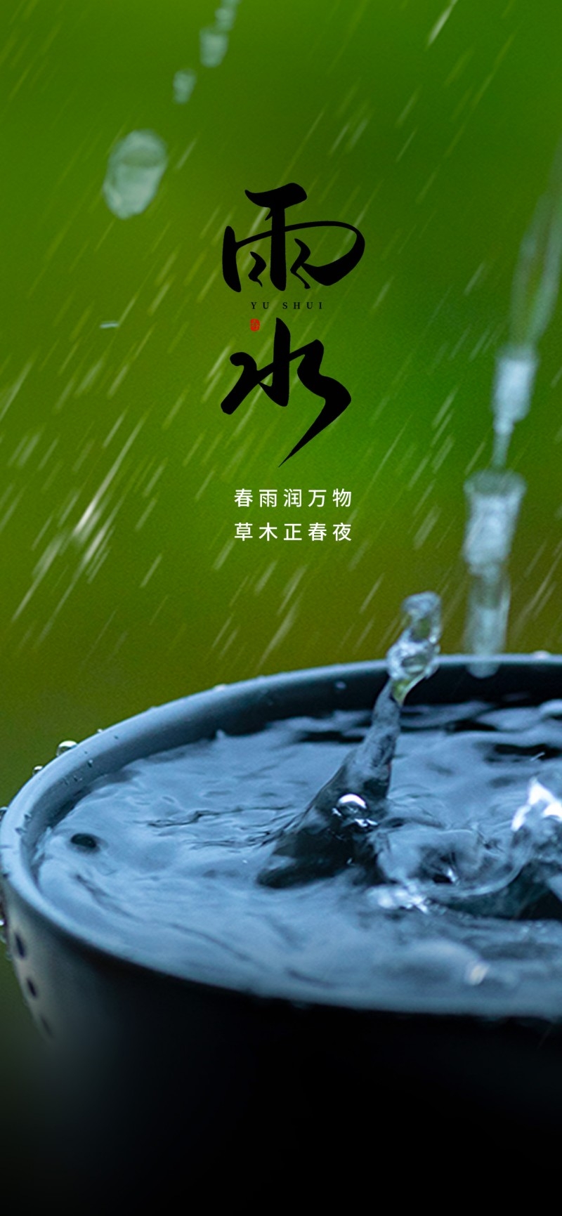 雨水节气海报 (91)