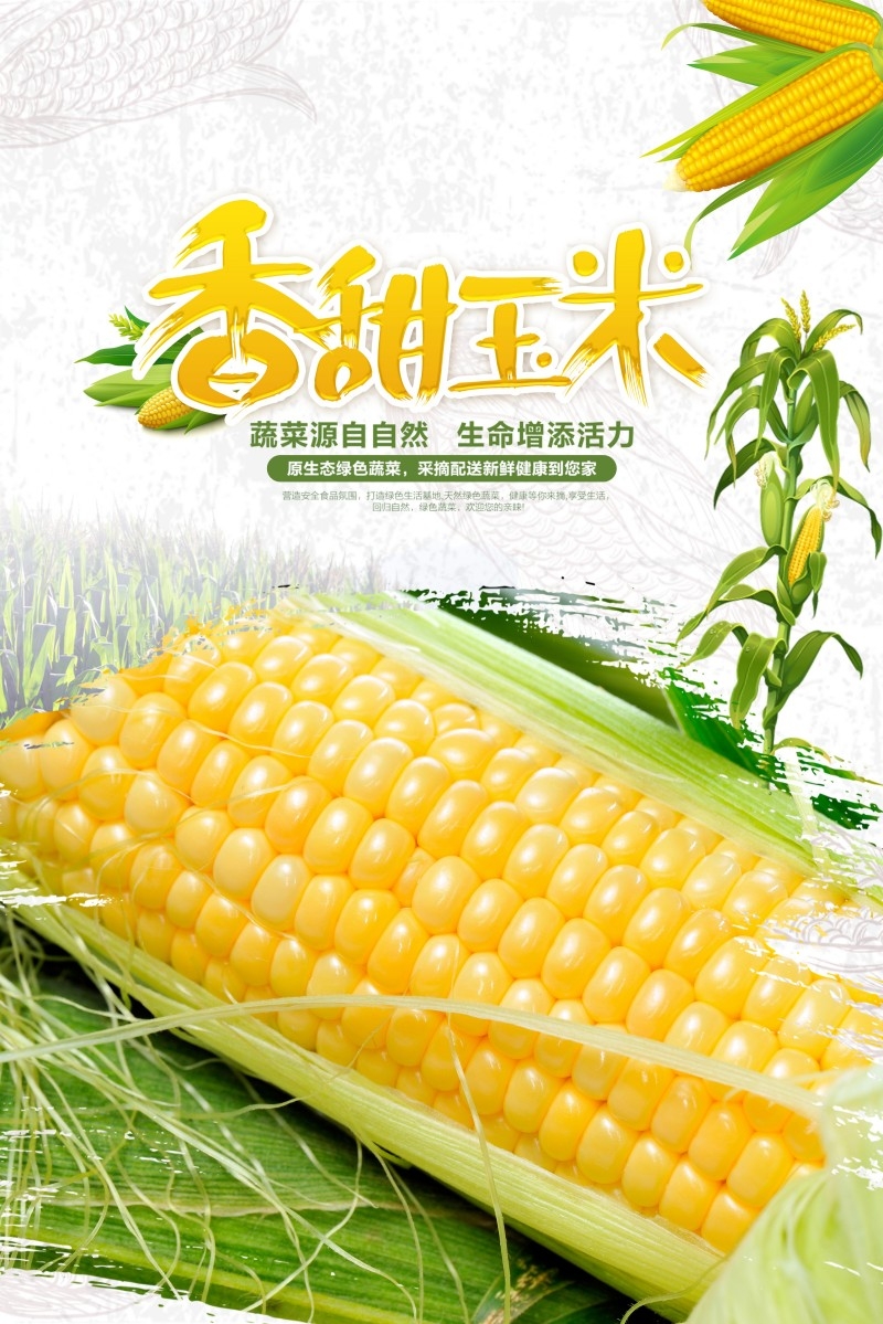 香甜玉米促销海报