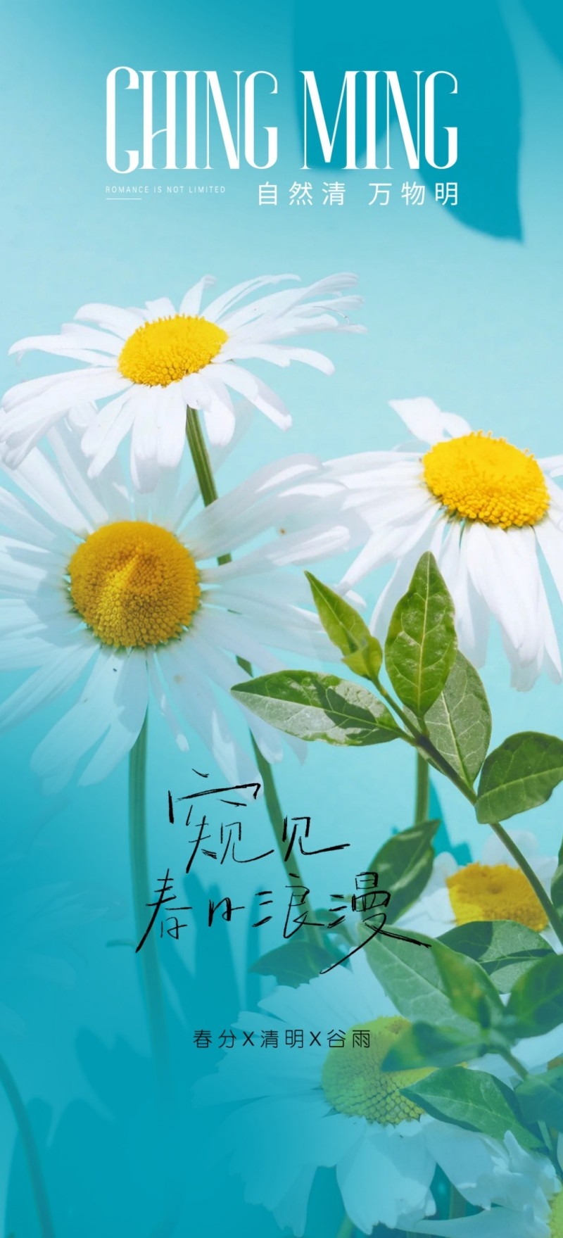 春分节气海报 (12)